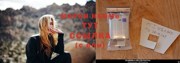 сатива Тобольск