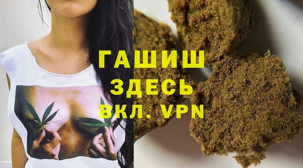 сатива Тобольск