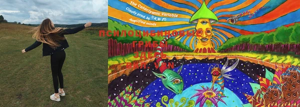 трава Туринск